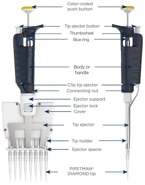 kit pipette gilson|gilson pipette diagram.